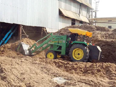 Bagasse Application